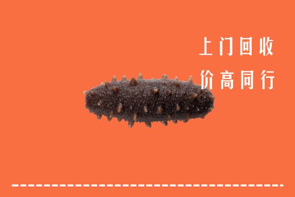 铜川回收海参